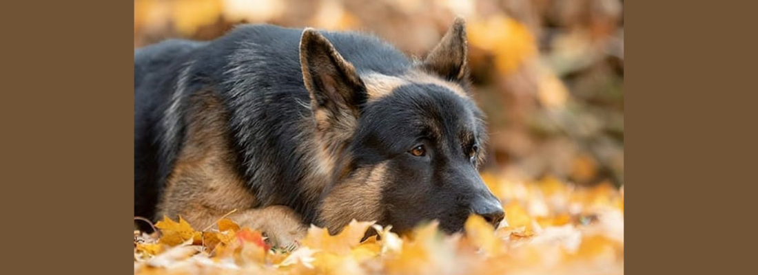 Keep Cool - Ruhe und Gelassenheit lernen
