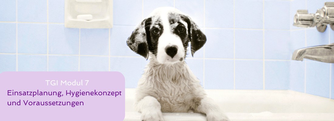 Tiergestützte Intervention - Modul 7 Einsatzplanung. Hygienekonzept und Voraussetzungen 