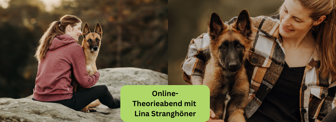 Schäferhund verstehen – Beziehung & Alltag im Einklang (Online-Theorieabend) mit Lina Stranghöner