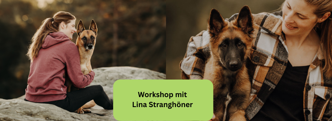 Schäferhund verstehen - Beziehung & Alltag im Einklang  Workshop mit Lina Stranghöner