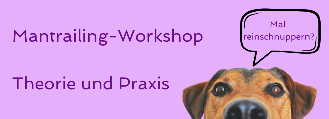Schnupperkurs Mantrailing