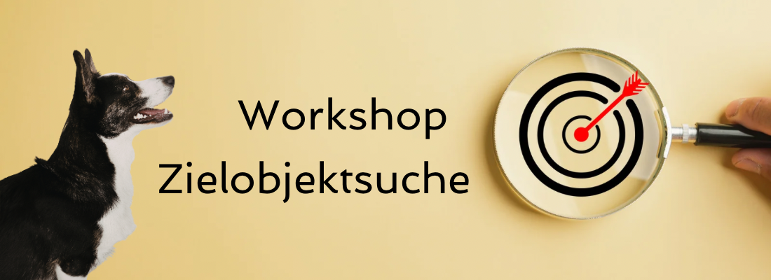 Workshop Zielobjektsuche (ZOS)