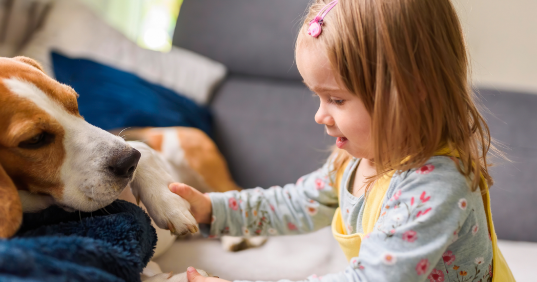 Präsenzseminar Neurodivergenz in der tiergestützten Arbeit – pädagogische Perspektiven, Chancen und Grenzen