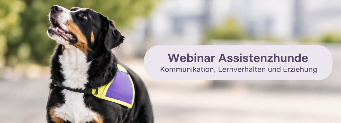 Webinar Assistenzhunde Kommunikation, Lernverhalten und Erziehung