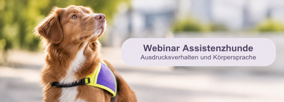 Webinar Assistenzhunde - Ausdrucksverhalten und Körpersprache