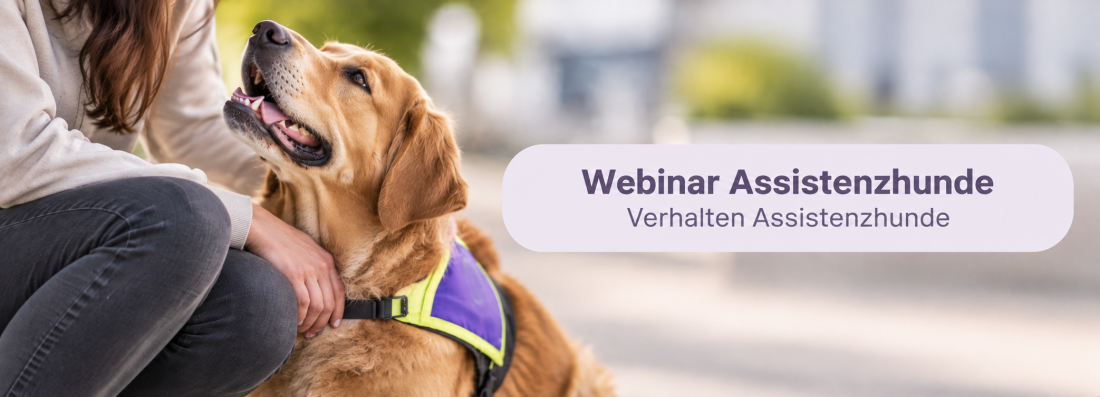 Webinar Assistenzhunde - Verhalten Assistenzhunde