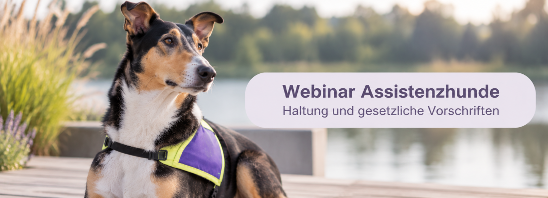Webinar Assistenzhunde - Haltung und gesetzliche Vorschriften