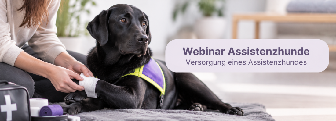 Webinar Assistenzhunde - Versorgung eines Assistenzhundes 
