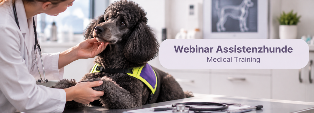 Webinar Assistenzhunde - Medical Training